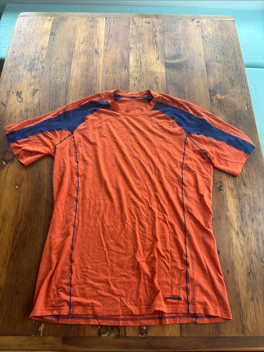 Patagonia merino t-shirt